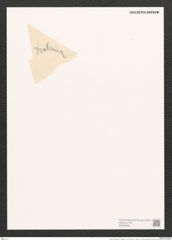 Donkinia cristata (Ehr.) Ralfs (de-Toni-Nr.: Genus 17, Species 1152) Zeichnungen Sammlung Grunow (NHMW-BOT-W0369346)